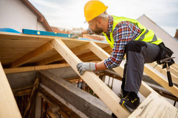 Best Shingle Roofing Installation  in Wray, CO