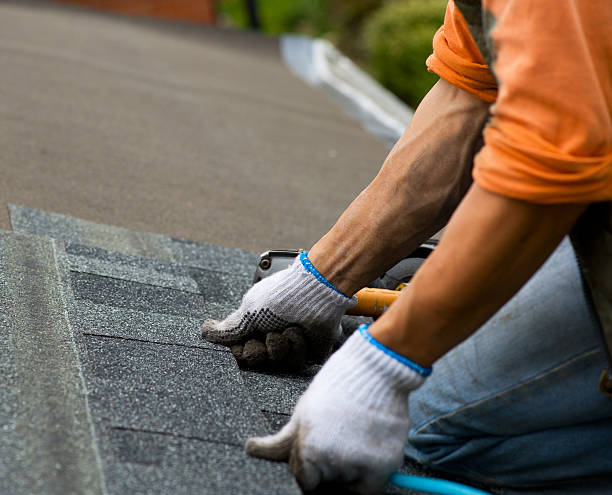 Best Shingle Roofing Installation  in Wray, CO