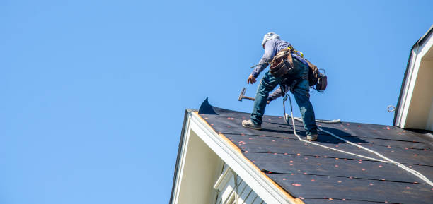 Best Storm Damage Roof Repair  in Wray, CO